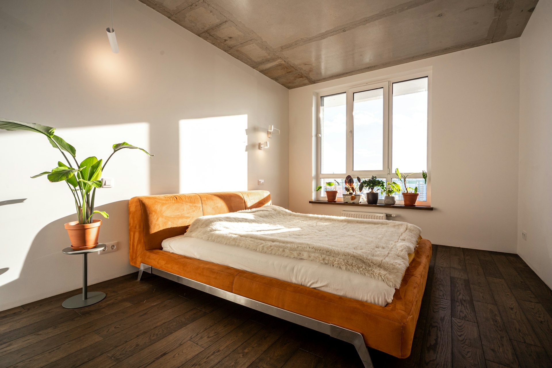A bedroom with a bed and a plant in the corner